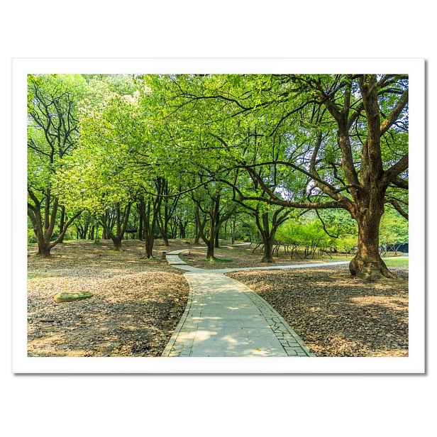 Plakáty v rámu 40x30 Zelený park s cestičkou