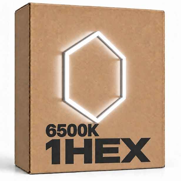 Černá Led lampa 1 medová plástev 42W 6500K 92x79 Cm studiová dílna