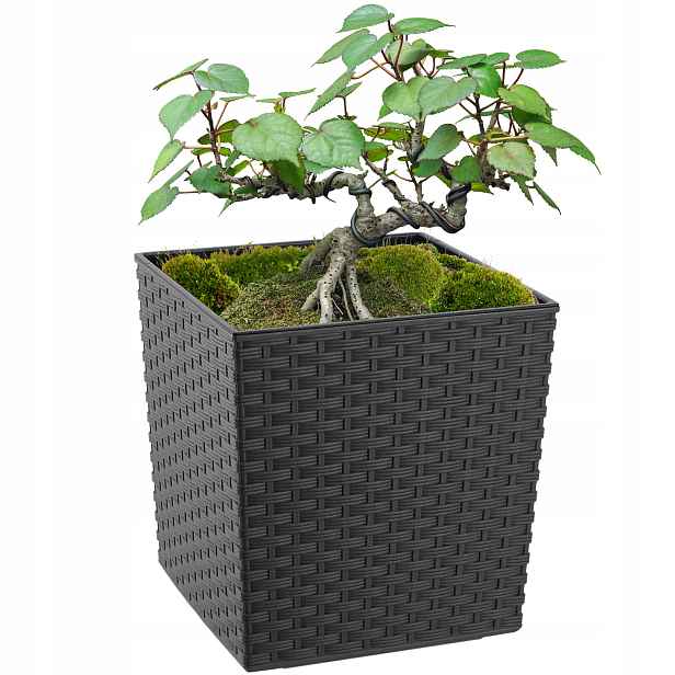 Květináč Obal Na Květináč S Vkladem Na Květiny Grafit 25cm