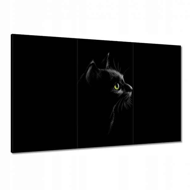 Obrazy 120x80 Černá kočka kočička kočka