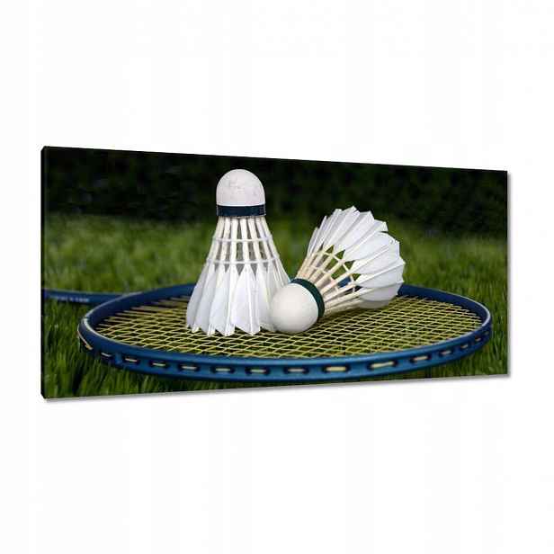 Obrazy 115x55 Paletky Lotky Badminton