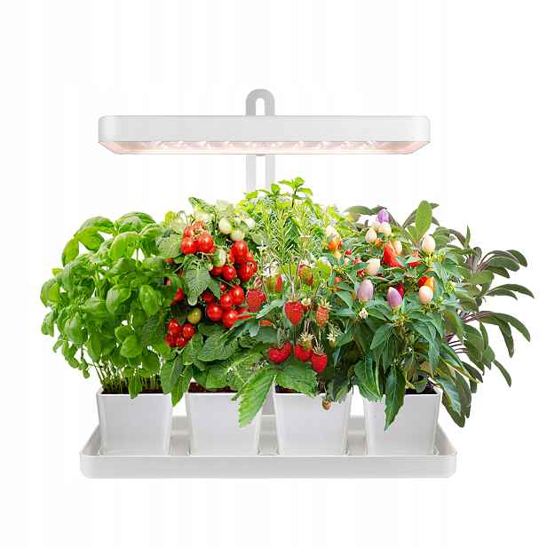 Led Lampa pro RůST Rostlin 20W s Časovačem a Regulací, Bílá, pro Pěstování Adaptér