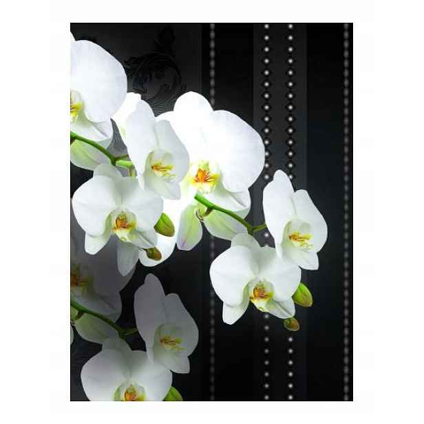 Fototapeta flizelina Bílé orchideje na tmavém pozadí elegance 206x275 lepidlo