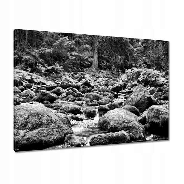 Obrazy 100x70 Tatry Polské hory Pohled
