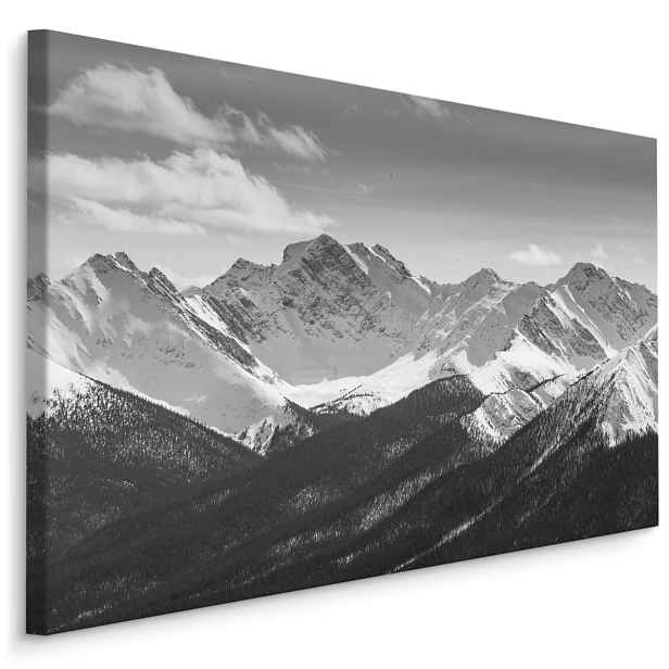Plátno Černá A Bílá Horská Krajina Varianta: 90x60