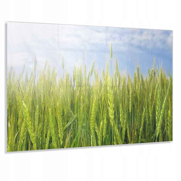 Ochranný Panel 4mm 90x60cm Dekorativní Tvrzený Lacobel Do Kuchyně