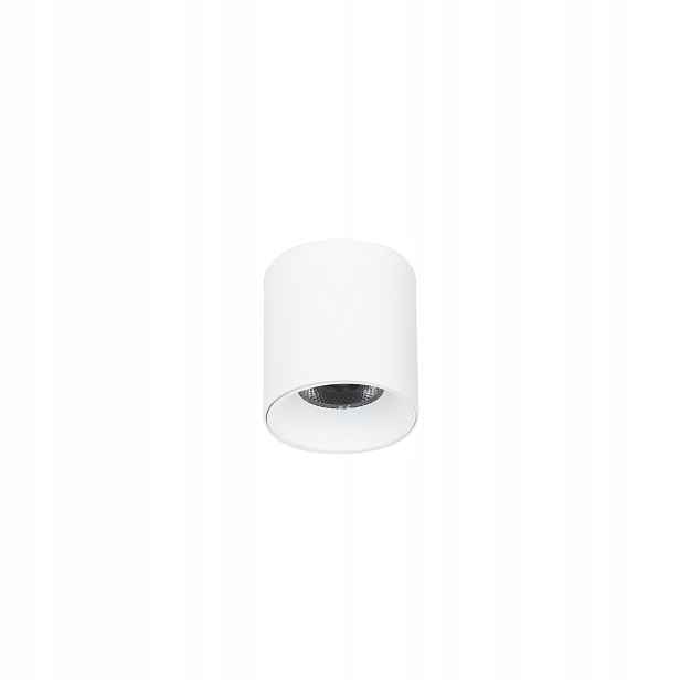 Italux Altisma stropní Led spot 10W 3000K bílý kulatý