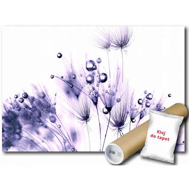 Fototapeta Pampeliška 9A V4 254x184 F124