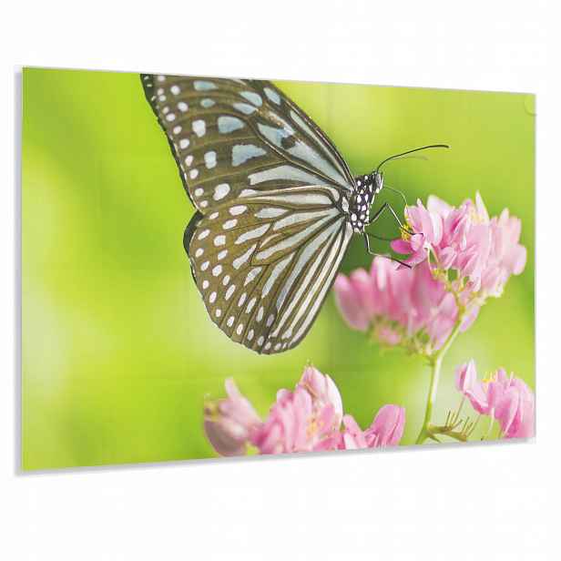 Ochranný Panel 4mm 60x40cm Lacobel Dekorativní Do Kuchyně Kalený