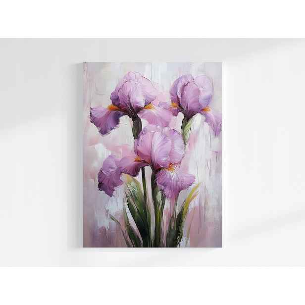 Obraz Na Plátně Canvas Příroda Zahrada Louka Květiny Růžové Kosatce Kytice 60x80