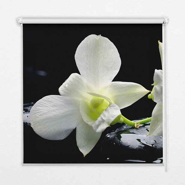 TULUP VNITŘNÍ roleta - okenní roleta - roleta - 60x140 cm - Orchideje