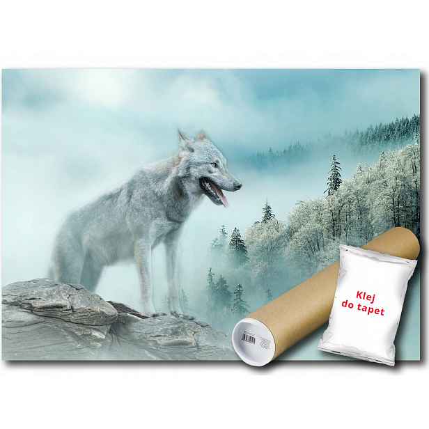Fototapeta Flizelina Vlk Les Hory Zima 254x184