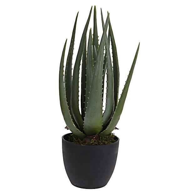 Umělá pokojová rostlina Aloe velké listy 45 cm Jako živá do obývacího pokoje Terasa