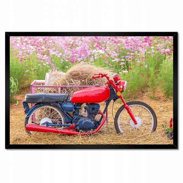 Plakáty v rámu 60x40 Červený motocykl Květiny