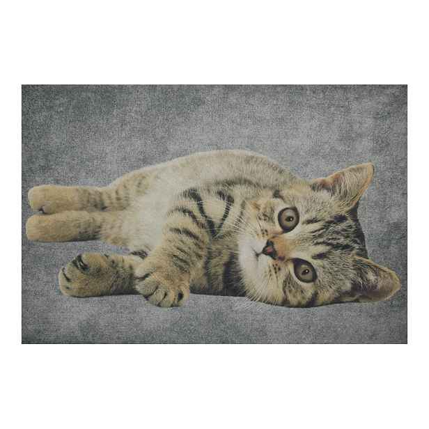 Šedá podlahová rohožka mourované kotě  - 75*50*1cm Mars & More