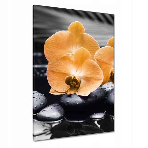 Obrazy 70x100 Oranžové orchideje