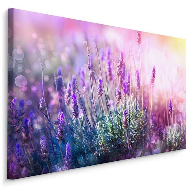 Plátno Kvetoucí Levandule 3D Varianta: 90x60