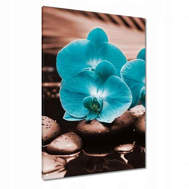Obrazy 70x100 Tyrkysový orchidej