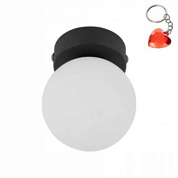 Stropní a nástěnná lampa Mini Black 5613 Tk Lighting