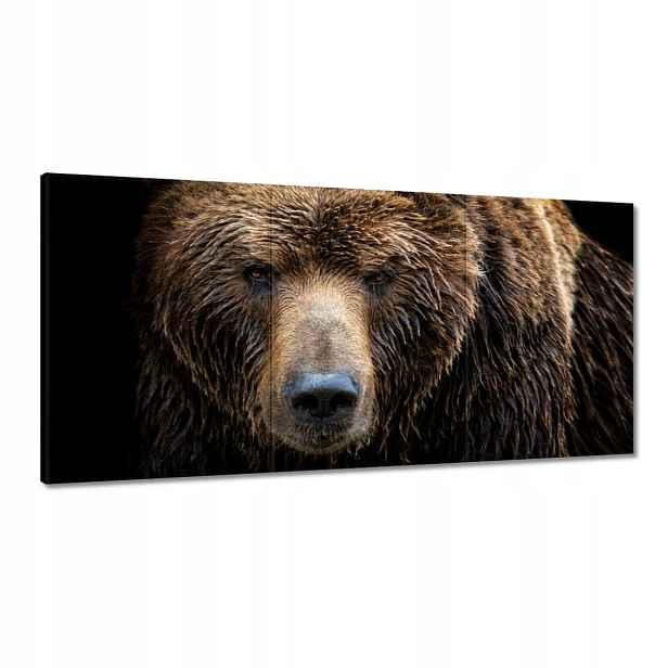 Obrazy 180x90 Portrét medvěda