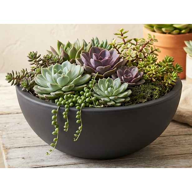 Květináč Kanten 40x16 cm, antracitový