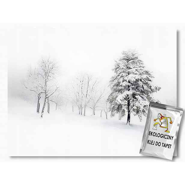Fototapeta Flizelina Krajina Zima Sníh Mráz Závěje Stromy 416x254 130g